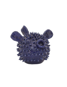 Pesce palla Blu