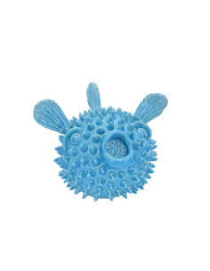 Pesce palla Azzurro
