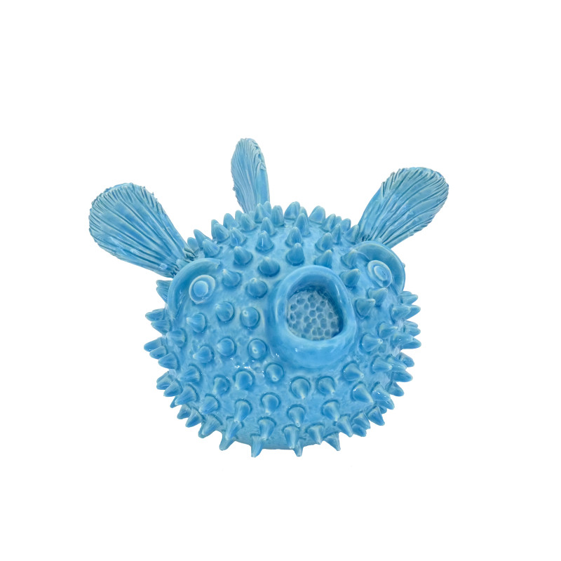 Pesce palla Azzurro