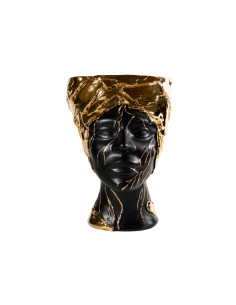 Testa di Moro Iride Oro Nero