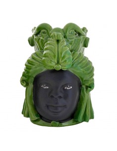Testa di Moro Demetra Piccolo Verde Foglia